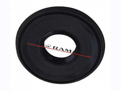 Seal of Laundry 25x47/64x7/10 mm Ariston [113.AR.09]